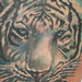 tattoo galleries/ - White Tiger Tattoo - 58022